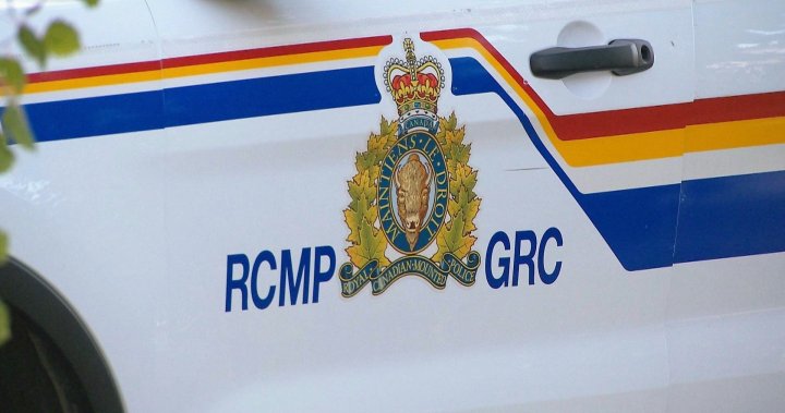 Man found dead on side of Cape Breton highway hit by vehicle: RCMP - Halifax