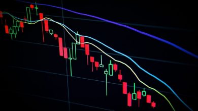 Robinhood Crypto Revenue Dips Sharply From Decline in Trade Volume, Dogecoin Price Fall