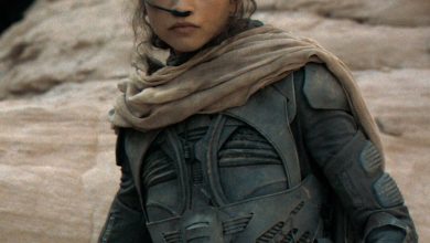 Wish Zendaya Had More Dune Screen Time? Filmmakers Talk Sequel