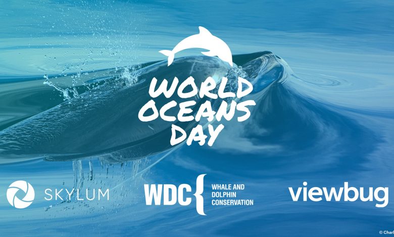 World Oceans Day [2020] ⭐ Celebrating All Month Long