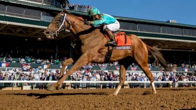 What Recent History Suggests When Sizing Up the Breeders’ Cup Sprint Horses