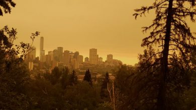 Survey finds Edmontonians increasingly concerned about climate change: city - Edmonton