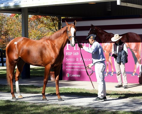 Finite Commands $2.2M from Best at Fasig-Tipton