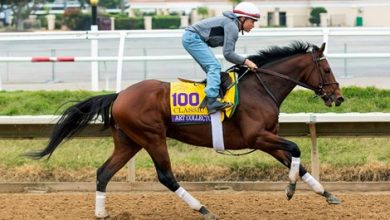 Smooth Change Paves Art Collector's Breeders' Cup Path