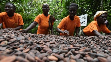 Volatile cocoa prices are pushing African farmers further into poverty