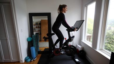 Peloton shares collapse, momentum for its at-home fitness equipment slows