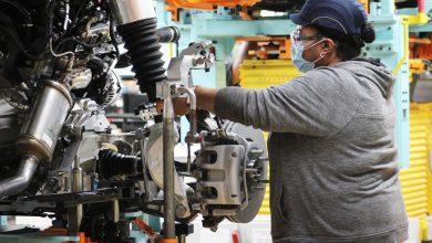 Strong jobs report shows economy back on track for further growth