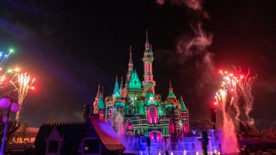 Shanghai Disneyland suspends entry on Halloween as China fights Covid