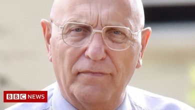 Bob Higgins: Southampton let Higgins free to abuse, reports show