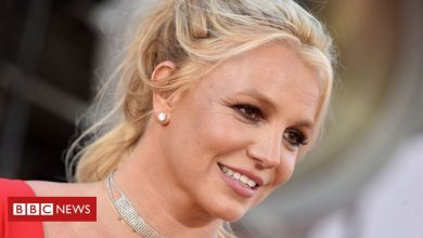 Britney Spears: Singer's conservatorship case explained