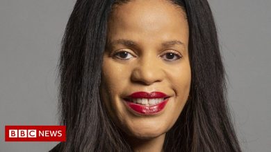 Claudia Webbe: MP's conviction appeal to be heard next year