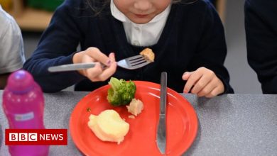 No school dinners if child's debt is 2p, Gwynedd head says