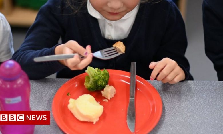 No school dinners if child's debt is 2p, Gwynedd head says