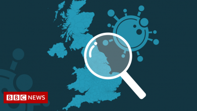 Covid-19 in the UK: How many coronavirus cases are there in my area?