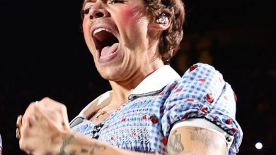 Harry Styles Dresses Up as Wizard of Oz's Dorothy Onstage