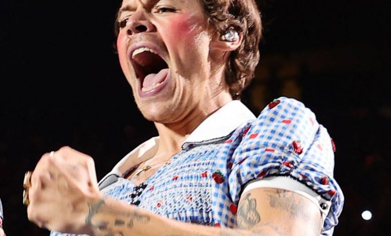 Harry Styles Dresses Up as Wizard of Oz's Dorothy Onstage