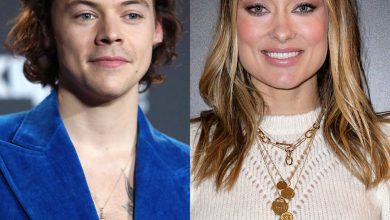 See Olivia Wilde All Dressed Up for Harry Styles’ Halloween Concert