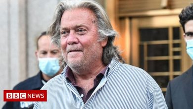 Capitol Riots: Steve Bannon pleads not guilty to contempt of power of Congress