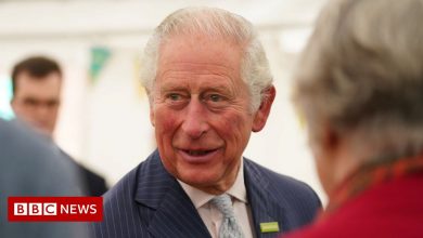 COP26: Charles to say 'war-like footing' needed