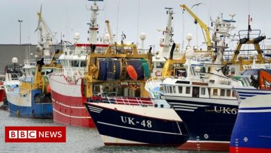 UK could take legal action against France over fishing row, says Liz Truss