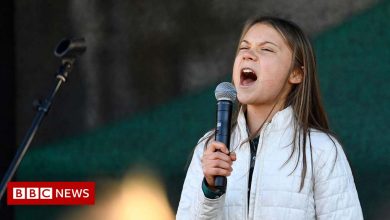 Greta Thunberg: Who is the climate campaigner and what are her aims?