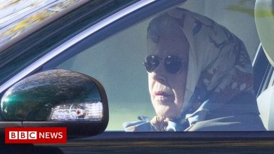 The Queen spotted driving car on Windsor estate