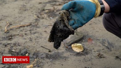 Plastics in wet wipes should be banned, says Labour MP