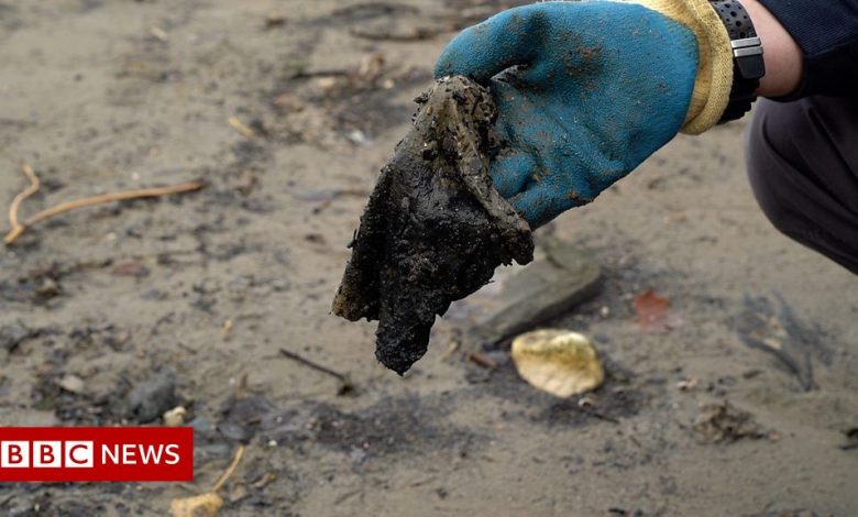 Plastics in wet wipes should be banned, says Labour MP