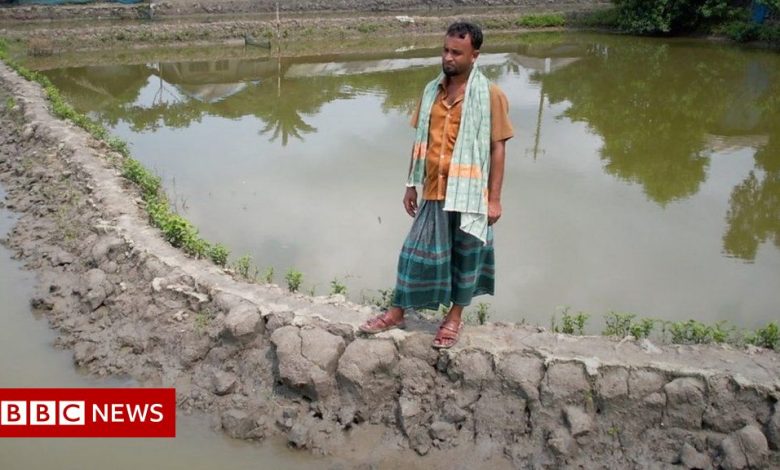 COP26 Bangladesh: If tidal surges destroy our house, where will we go?