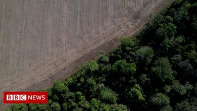 Climate change: Should we save or exploit the vanishing Amazon?