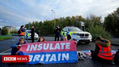 Insulate Britain protests in Manchester, London and Birmingham