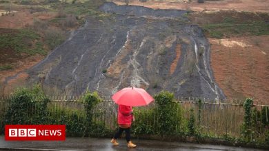 Climate change: Coal tips warning system essential, says expert