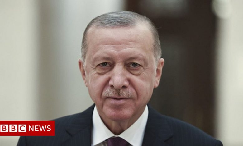 Erdogan: Turkey investigates posts about president's health