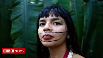 COP26: Indigenous Amazon activist 'got death threats' after speech