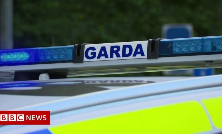 Cork: Gardaí arrest man over threats to kill UK MP