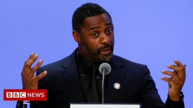 COP26: Idris Elba joins activist Vanessa Nakate in call for food security