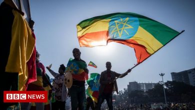 In pictures: Thousands join huge pro-government rally in Ethiopia