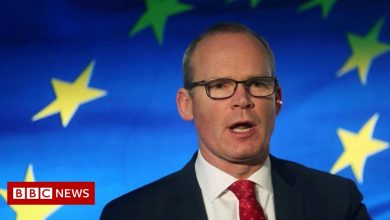 Brexit: Irish minister says UK 'preparing' to suspend parts of NI deal
