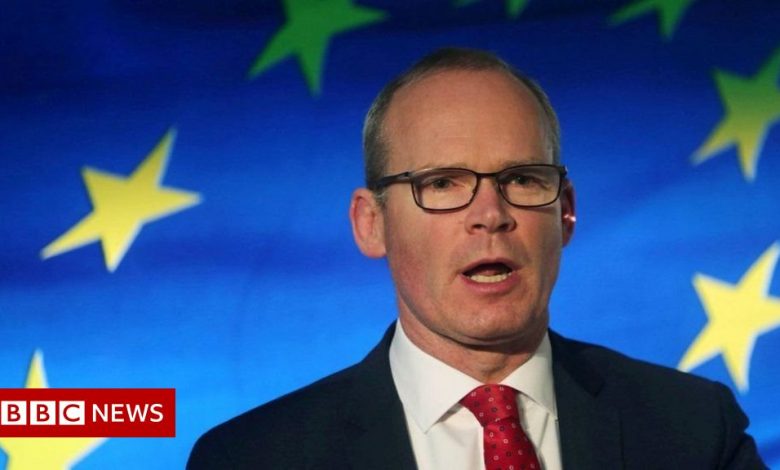Brexit: Irish minister says UK 'preparing' to suspend parts of NI deal