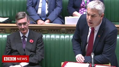 Owen Paterson: Minister Stephen Barclay expresses regret over vote
