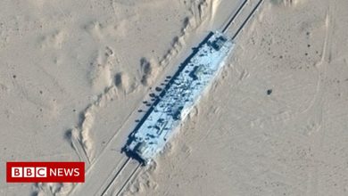 Satellite images appear to show mock-up US warships in China desert