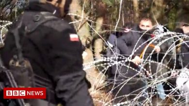 Belarus migrants: Poland fears armed border escalation