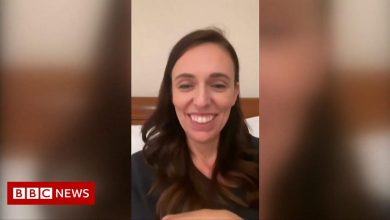 New Zealand PM Jacinda Ardern's live stream interrupted by three-year-old daughter