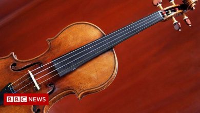 Paraguay: Police probe Stradivarius violin theft motive in double murder
