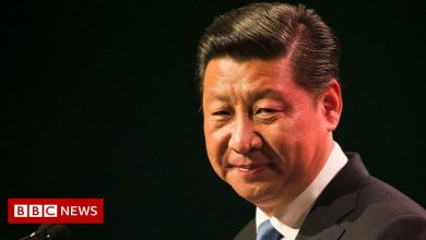 China's Xi Jinping cements his status with historic resolution
