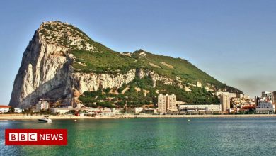 Defence Secretary disappointed in MPs' conduct on Gibraltar trip