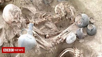 Chan Chan: Mass grave found in ancient Peruvian city