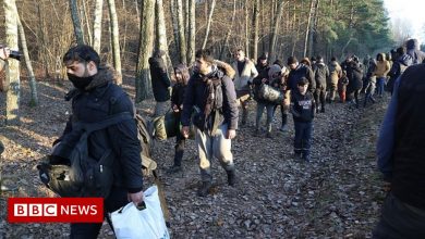 Poland-Belarus: How social media posts fuelled the migrant crisis