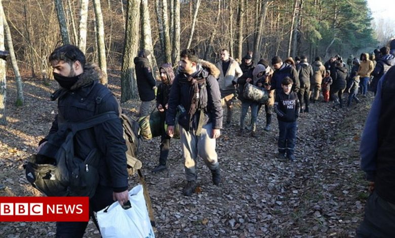 Poland-Belarus: How social media posts fuelled the migrant crisis