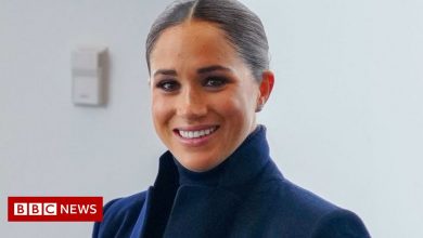 Meghan aide regretted not giving evidence earlier in privacy case